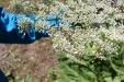 Thumbnail IMG_1837.JPG 
