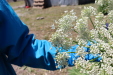 Thumbnail IMG_1838.JPG 
