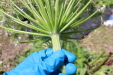 Thumbnail IMG_1839.JPG 