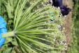 Thumbnail IMG_1840.JPG 