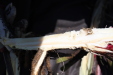 Thumbnail IMG_1848.JPG 