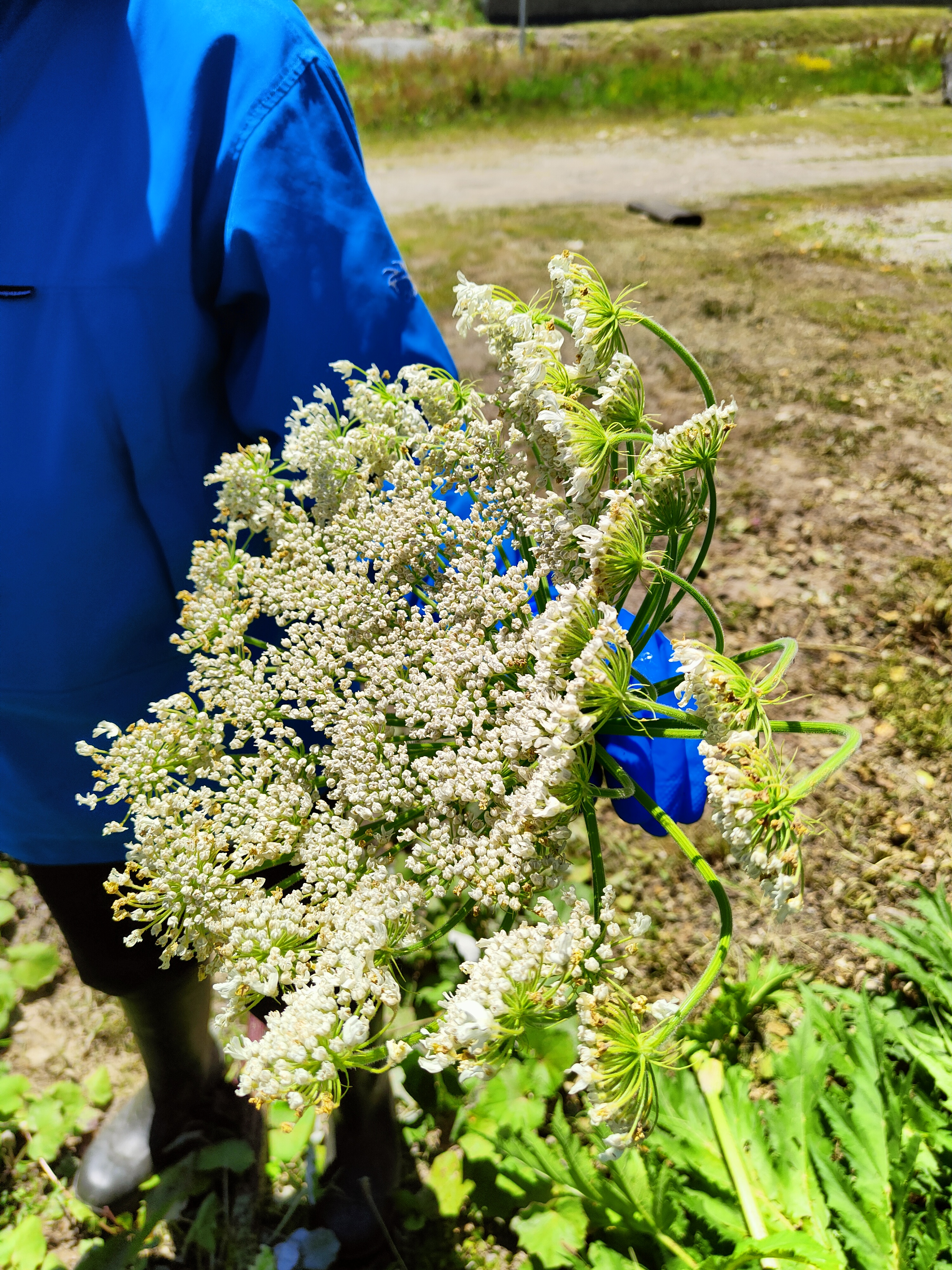 IMG20220705122921.jpg 