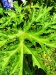 Thumbnail IMG20220705132641.jpg 