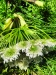 Thumbnail IMG20220705132725.jpg 