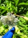 Thumbnail IMG20220705132734.jpg 