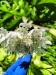 Thumbnail IMG20220705132735.jpg 