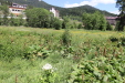 Thumbnail IMG_1858.JPG 