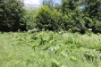 Thumbnail IMG_1859.JPG 