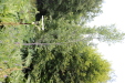 Thumbnail IMG_1863.JPG 