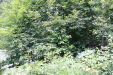 Thumbnail IMG_1864.JPG 