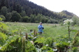 Thumbnail IMG_1870.JPG 
