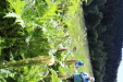 Thumbnail IMG_1871.JPG 