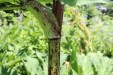 Thumbnail IMG_1881.JPG 