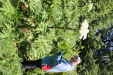 Thumbnail IMG_1887.JPG 