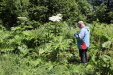 Thumbnail IMG_1888.JPG 