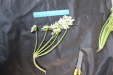 Thumbnail IMG_2036.JPG 