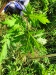 Thumbnail IMG20220706101408.jpg 