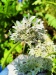 Thumbnail IMG20220706101445.jpg 