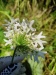 Thumbnail IMG20220706101458.jpg 