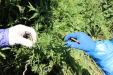 Thumbnail IMG_2129.JPG 