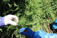 Thumbnail IMG_2130.JPG 
