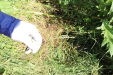 Thumbnail IMG_2136.JPG 
