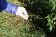 Thumbnail IMG_2137.JPG 