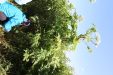 Thumbnail IMG_2140.JPG 