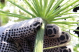 Thumbnail IMG_2161.JPG 