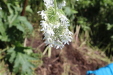 Thumbnail IMG_2179.JPG 