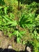 Thumbnail IMG20220706105922.jpg 