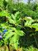 Thumbnail IMG20220706105948.jpg 
