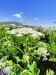 Thumbnail IMG20220706105953.jpg 