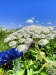 Thumbnail IMG20220706110059.jpg 
