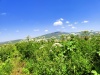 Thumbnail IMG20220706110126.jpg 