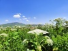 Thumbnail IMG20220706110147.jpg 