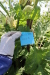 Thumbnail IMG_2213.JPG 