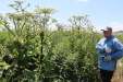 Thumbnail IMG_2214.JPG 