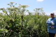 Thumbnail IMG_2215.JPG 