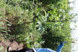 Thumbnail IMG_2218.JPG 