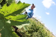 Thumbnail IMG_2230.JPG 