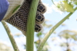 Thumbnail IMG_2247.JPG 