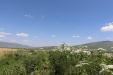 Thumbnail IMG_2250.JPG 