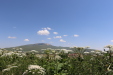 Thumbnail IMG_2251.JPG 