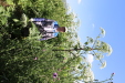 Thumbnail IMG_2255.JPG 
