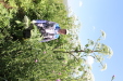 Thumbnail IMG_2256.JPG 
