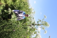 Thumbnail IMG_2257.JPG 