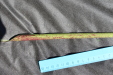 Thumbnail IMG_2261.JPG 