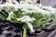 Thumbnail IMG_2272.JPG 