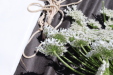 Thumbnail IMG_2276.JPG 